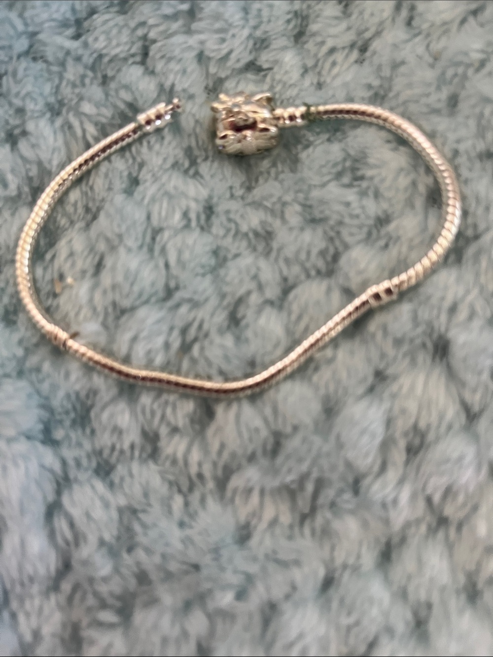 Sterling Silver Snake Chain Charm Bracelet - Silver